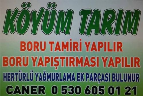 Köyüm Tarım - Cumali