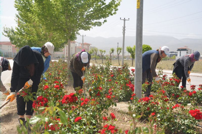 Ereğli’de Orta Refüjlerin Yeşil Dokusu Korunuyor