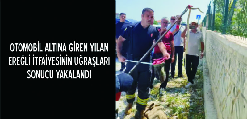 EREĞLİ’DE OTOMOBİL ALTINA GİREN YILAN YAKALANDI