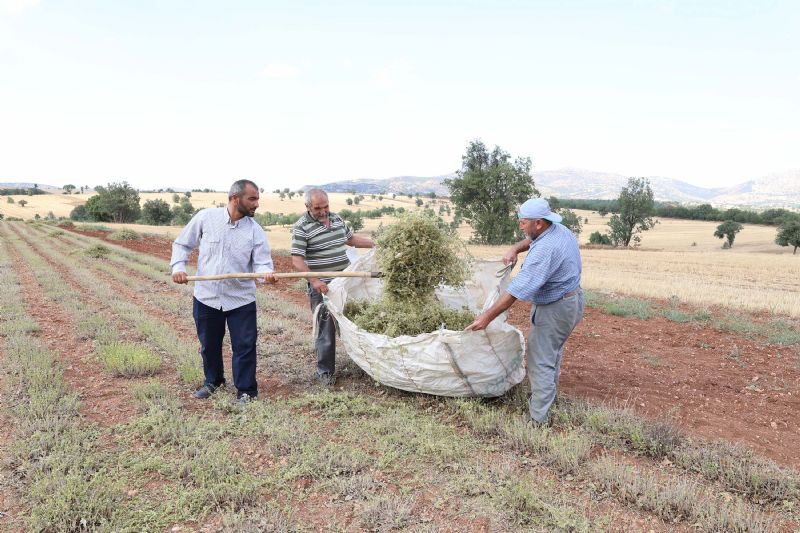 UĞUR İBRAHİM ALTAY’DAN ÇİFTÇİLERE FIRSAT