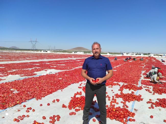 Ahmet Aydın Sarıca Ereğlili domates yetiştiricilerini ziyaret etti