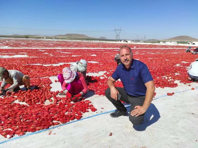 Ahmet Aydın Sarıca Ereğlili domates yetiştiricilerini ziyaret etti